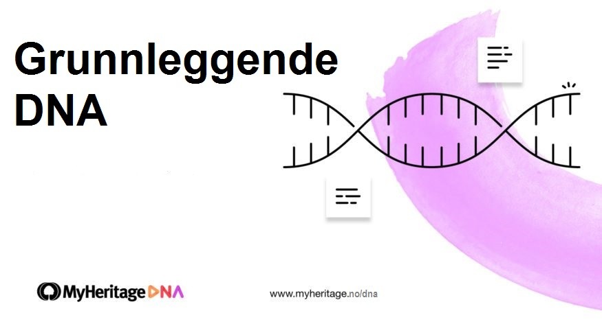 Grunnleggende DNA kapittel 11 – Hva er genetisk slektsforskning?
