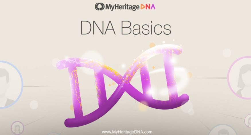 Grunnleggende om DNA Kapittel 3: DNA-ekspresjon