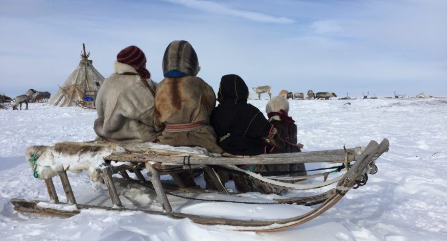 Tribal Quest: Reisebrev fra Sibir