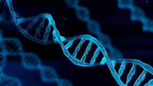 Søvn og DNA henger sammen