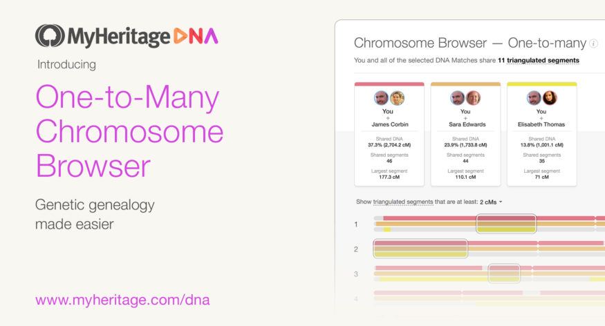 Stor oppgradering av MyHeritage Kromosomleser for bedre utforskning av DNA-treff