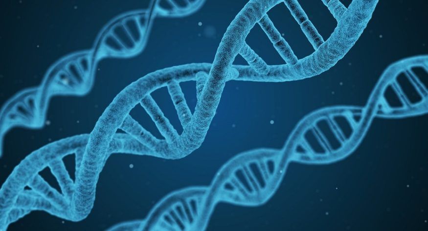 Ny bloggserie: Dette må du vite om DNA